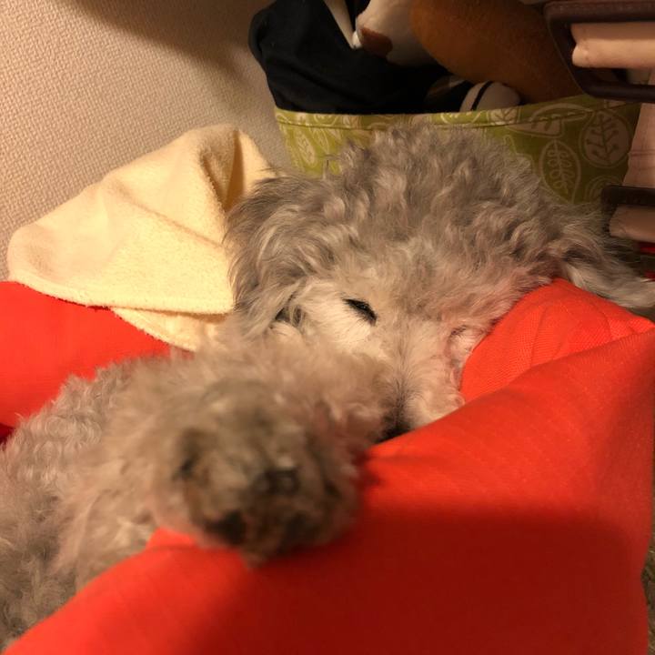 C2c550db a329 47ff ba0e 921f8443ef99 1527215344764