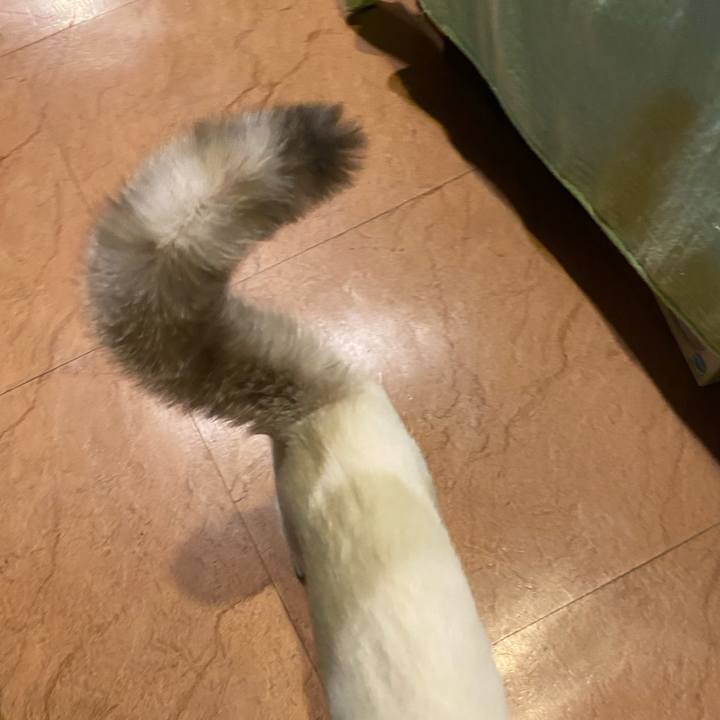 C2c55495 2781 45bf a033 96b9f4f9027d 1637322508174