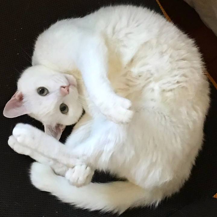 C2c558de 894d 4529 8d5e 858802cbe655 1545899416689