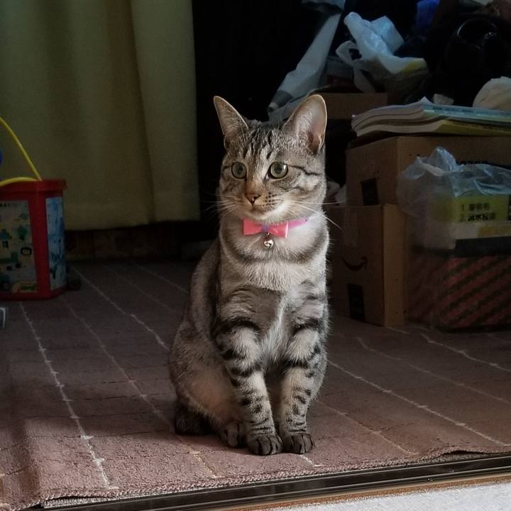 C2c58548 9558 47a6 bb41 0296c9565982 1682949812929