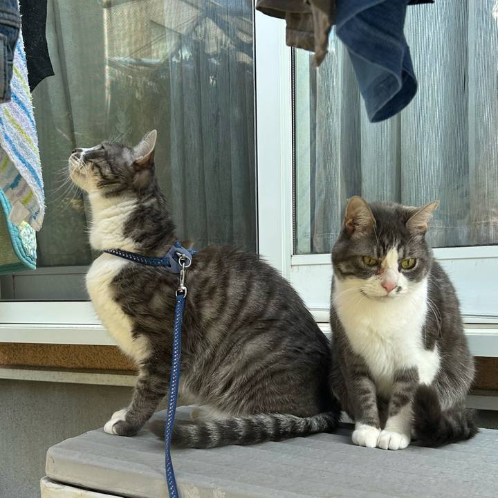 C2c5d266 6b19 4e09 8abf 8d4b4ae047a5 1772242153429