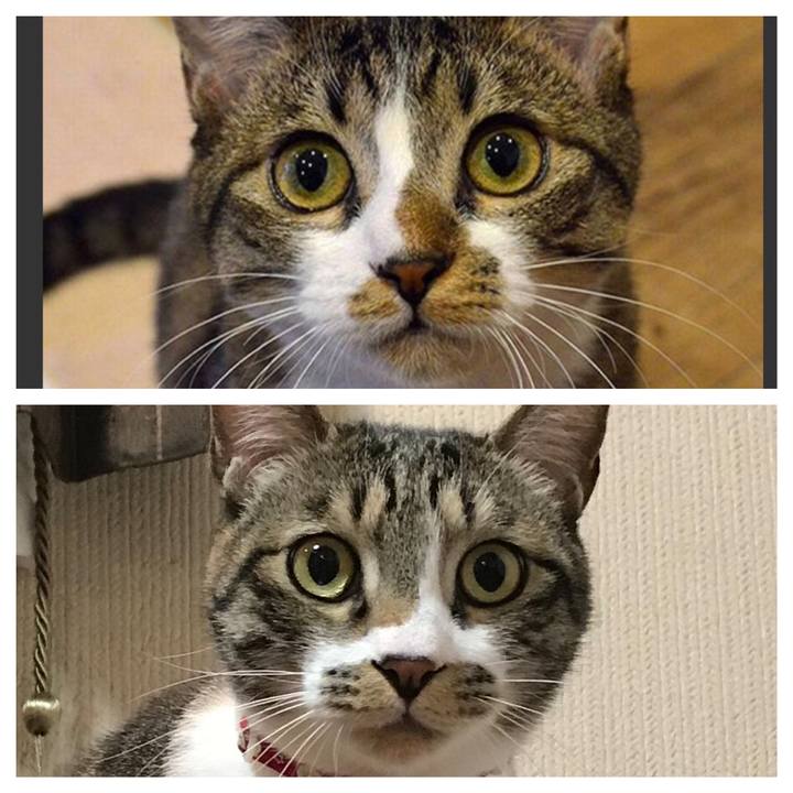 C2c5d77a 258c 4f60 a67a bceabd03255f 1548503006566