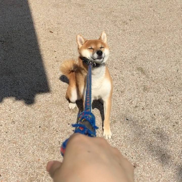 C2c5ed52 dbe8 4b0f 8d55 72cac7b3dd97 1509359100921