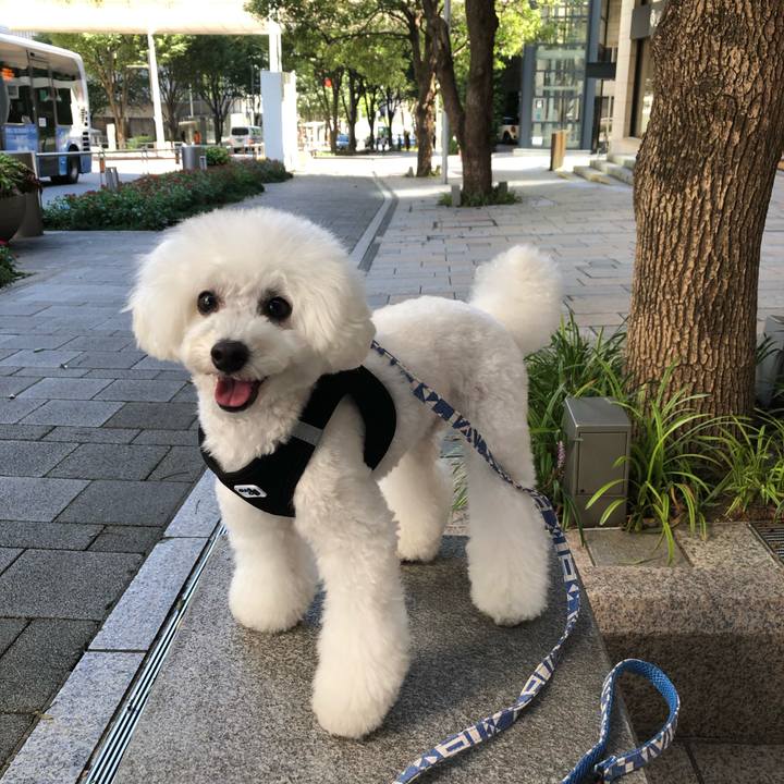 C2c63618 7373 4805 bc02 1309c7e32860 1568531130706