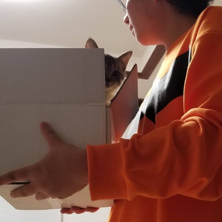 C2c64bcc af5a 44c7 864d 15b6dc459462 1666533244576