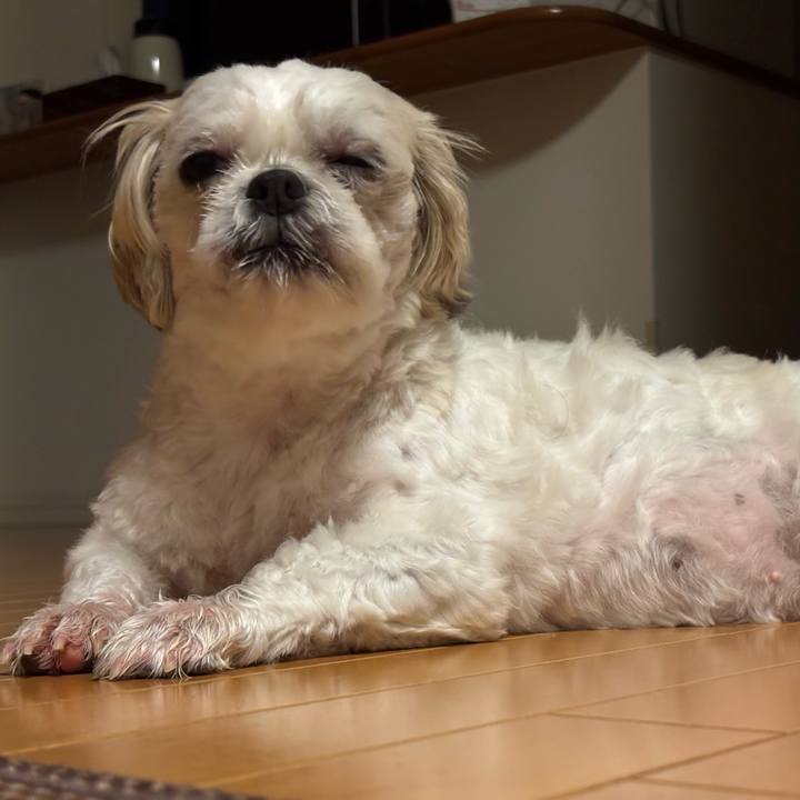 C2c68ffa c0d9 4cf8 b67c 03446620d140 1752183784819