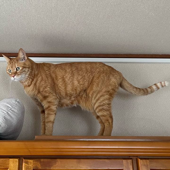 C2c694c0 adca 4713 97d7 2e642d034a4e 1773125601459