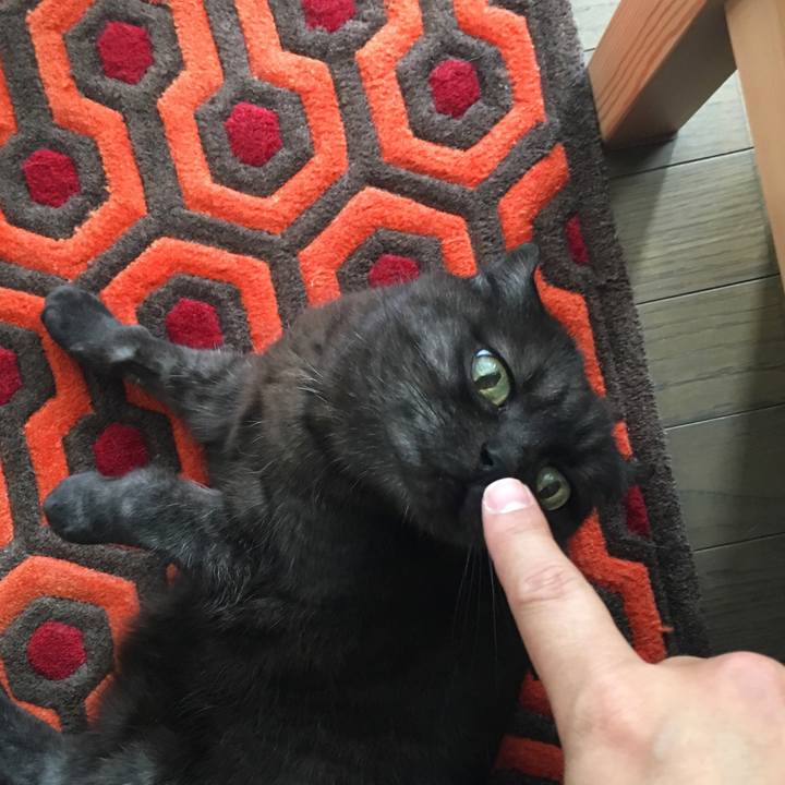 C2c69d03 8662 499d 9d8b 8dad5f758110 1556421150685