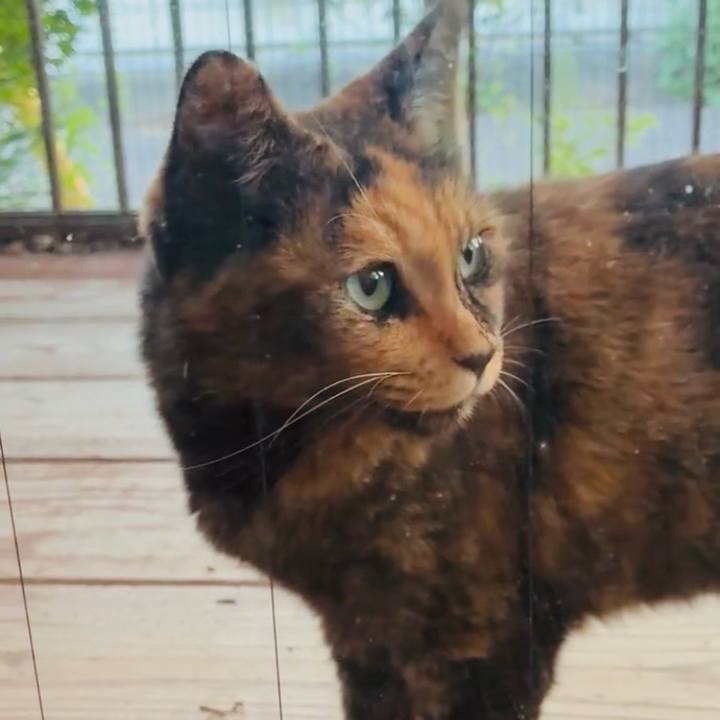 C2c6aa0f a3c5 4164 8b68 ba8f721fc6a5 1759658066214