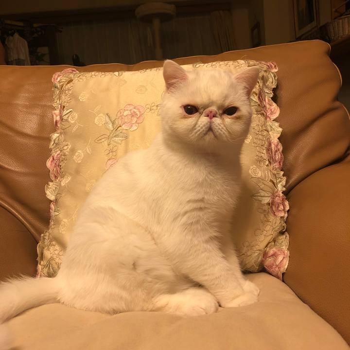 C2c70f74 11d8 4685 9d88 66d5e9dee63e 1578575311979