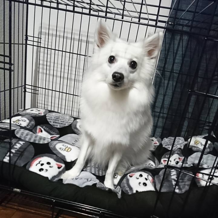 C2c7164b 5d79 4501 823a c500637362dd 1545742317826