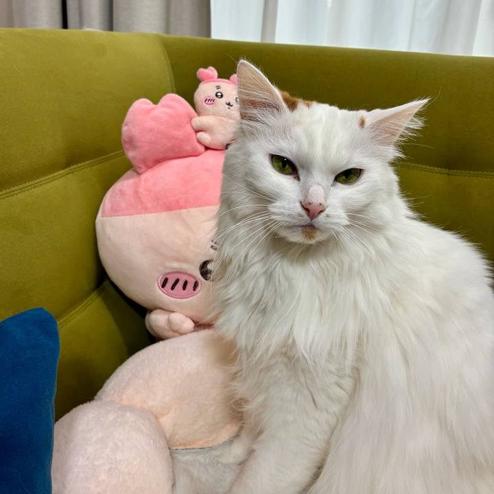 C2c723aa 3c98 45f0 ac24 fde5ea90baf5 1767843438303