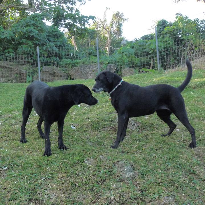 C2c72d68 1b7c 4dd0 8bac a9ad34c98477 1556808882917