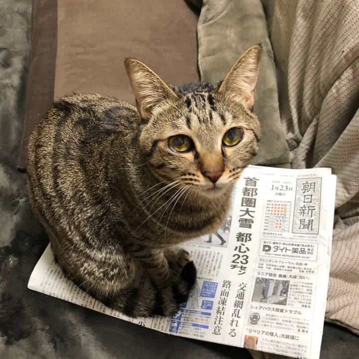 C2c741cd 06bf 406f a622 7146000ba017 1516690020179