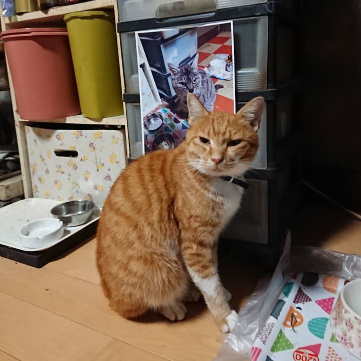 C2c7440c 6602 415b 8409 fd81a1cce46b 1600809046949