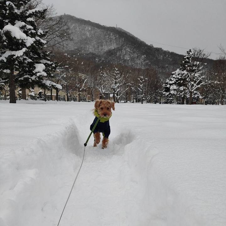 C2c74d29 ab77 47ba 8daa 04f25f492b2a 1581030749765