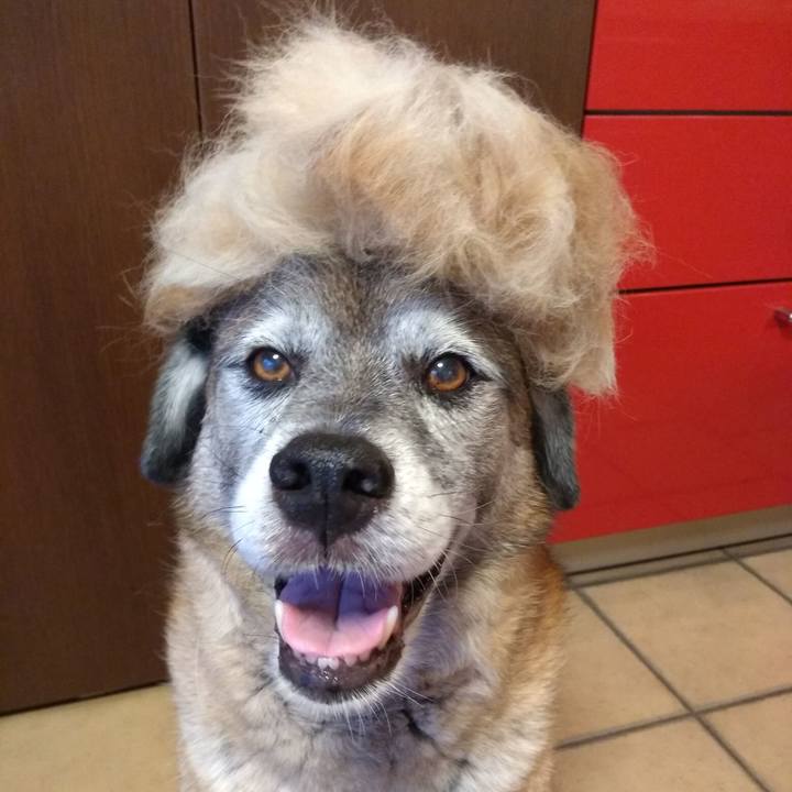 C2c76bf2 c327 43ab 9b31 7a1244407a51 1563960508927