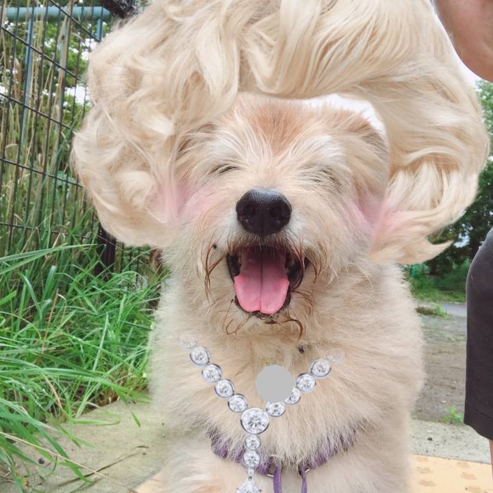 C2c770ae a8e2 428d 901b 58c8d4dec15e 1563577967522