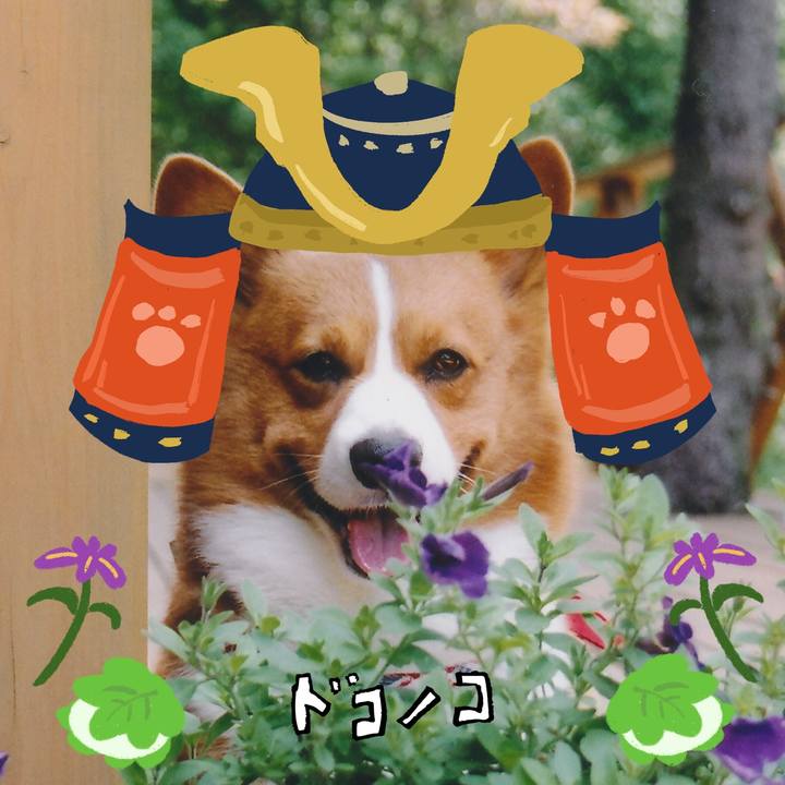 C2c78cb4 b6a0 4b8e 8886 befa6a4762fd 1714955206612