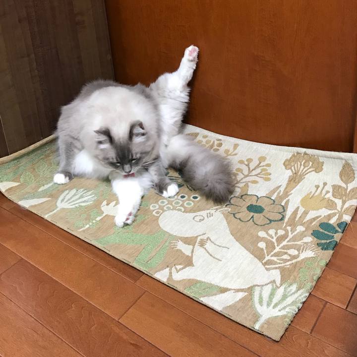 C2c79821 9e6c 4e6c b5ee b97b2ef3a240 1509354465639