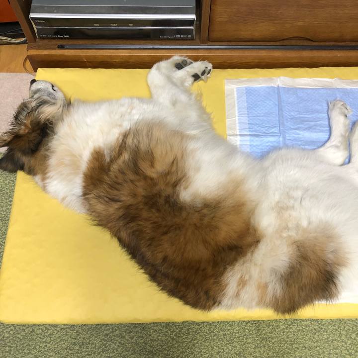 C2c79f17 99b4 4f69 a6fb 54406f5eaa99 1550675118337