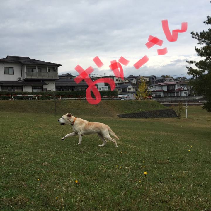 C2c7b494 920c 4f5c 977e f50c6b8aadb3 1541578387472