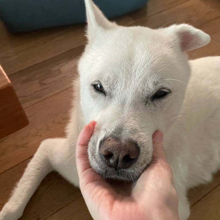 C2c7db4b 13d4 464a a1f2 cde3c22d8f3c 1753273905225