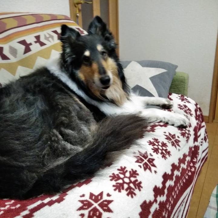 C2c83ea9 9d20 4d19 8e77 ad310ae1bee4 1555684904702