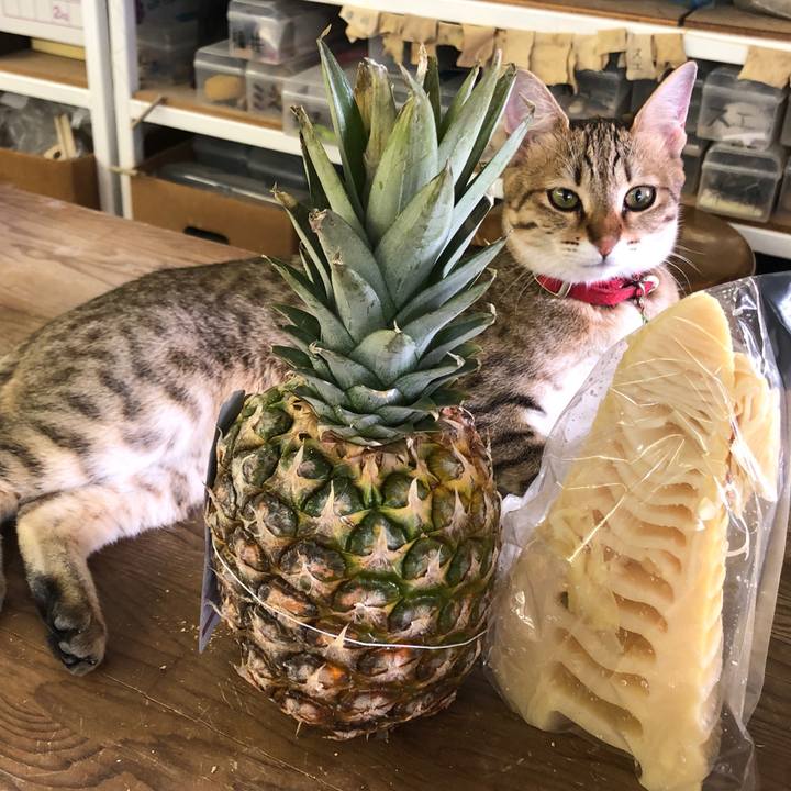 C2c840de 9c61 4723 9c92 5dbc4f9e3693 1586912912872