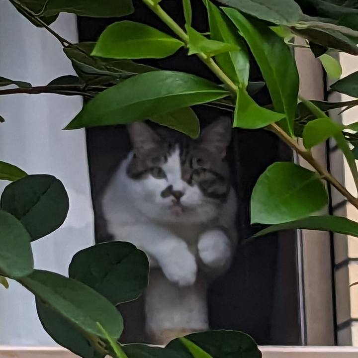 C2c85a8b 8516 4323 8fd2 b22e8295ce0c 1694472705838