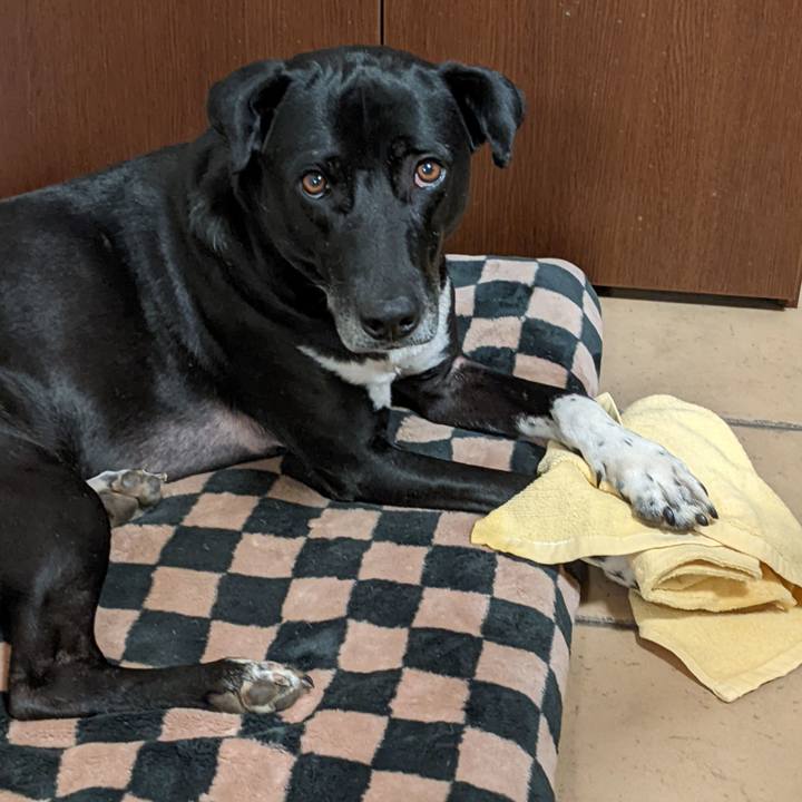 C2c8709b 5c6b 405e 846e 3db1fa22f386 1646267684110