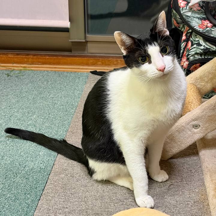 C2c88b3e ef72 4dc5 93ba 6813f817a841 1764944032393