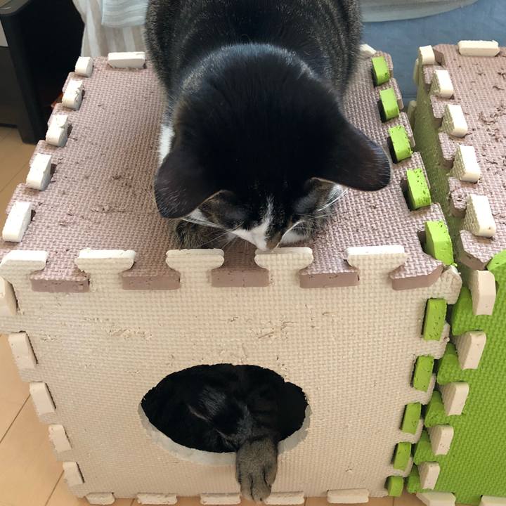 C2c8c4fd 8bc5 46eb a546 186205f84d8c 1524367603844