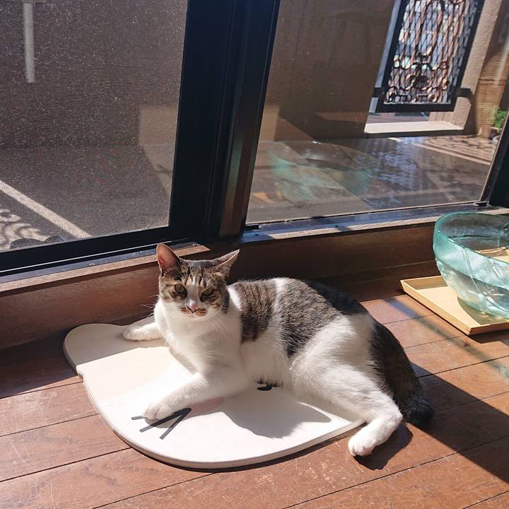 C2c8f0c1 298d 452e 8459 6d064ee3b51f 1635905234354