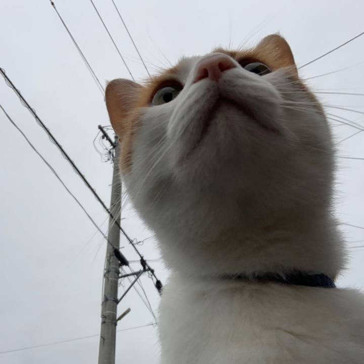 C2c91b9e daa7 4d7b 985b dd1d4dac74f7 1565555912819