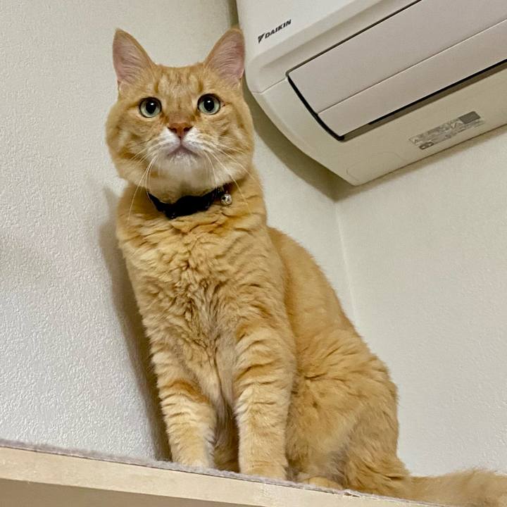 C2c93c62 4d5e 4f3a aca9 dec998b26ac9 1725322819709