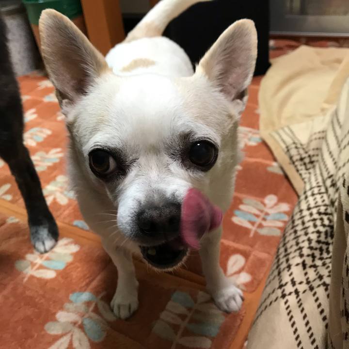 C2c97ca2 36a9 48b3 8e16 51a9e4a54616 1548249074246