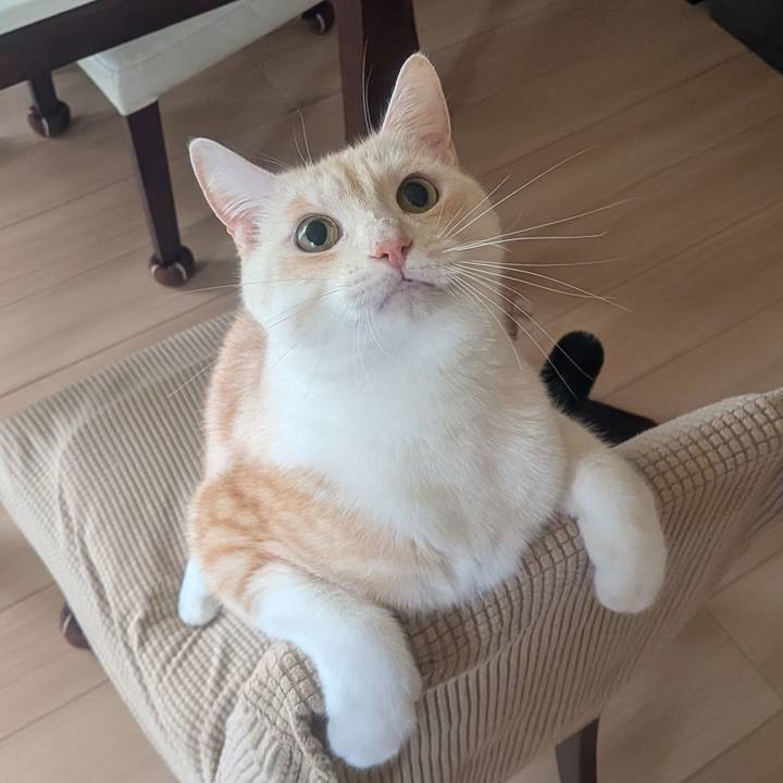 C2c98f8a e5f7 42d6 b121 6a1c54919fb3 1756960575129