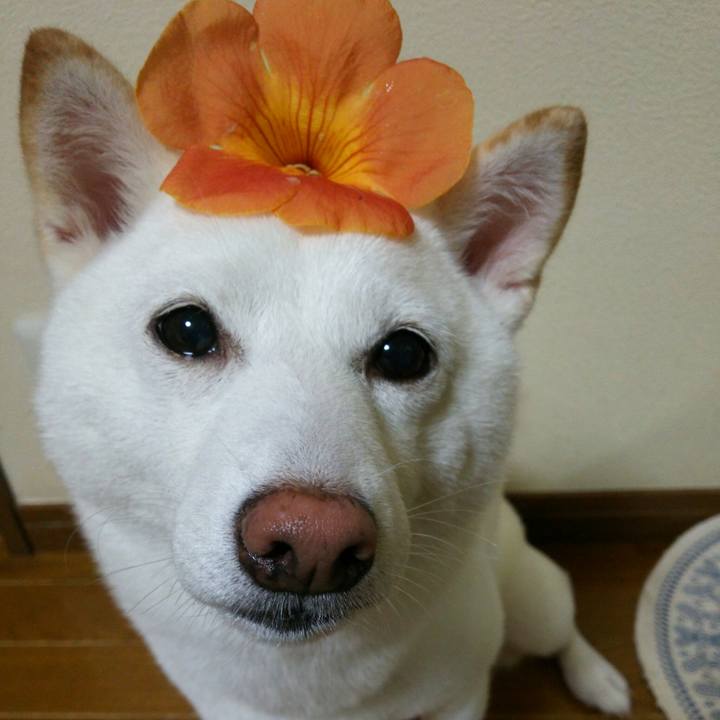 C2c9e247 7ea7 4dfb 9695 8a3bb7536cd1 1563531554584