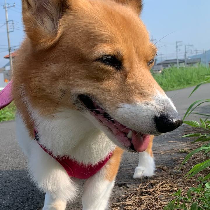 C2ca24d4 b2d5 4e29 abcc 331bbcbc423b 1721431094886