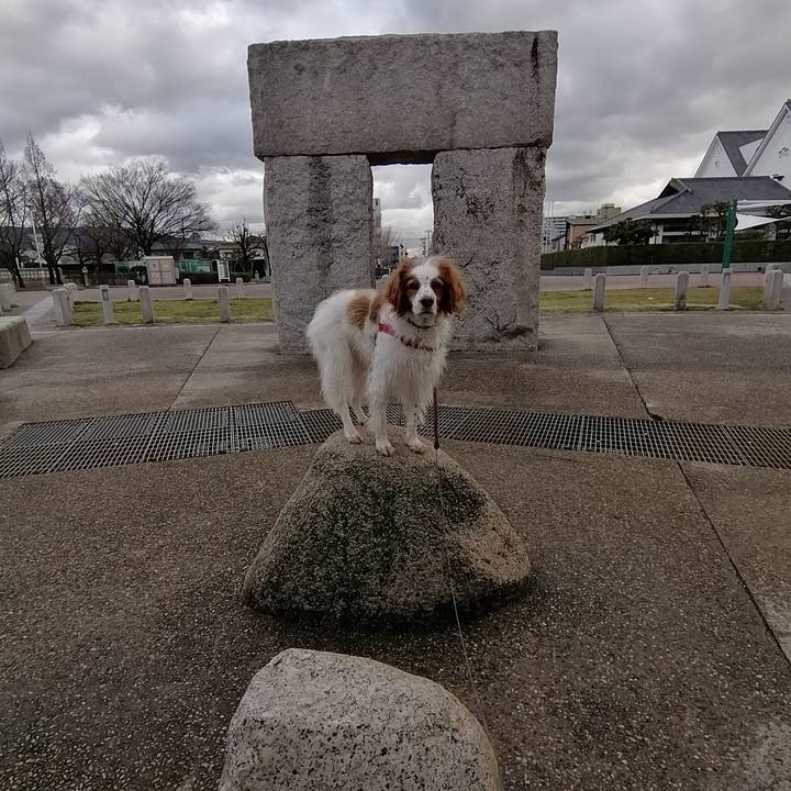 C2ca4c7b 8944 439e b057 c541bc11997a 1614672311486