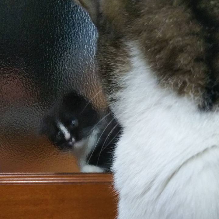 C2ca98e3 05f9 42c4 bd7f b2f65e0af6df 1638795295745