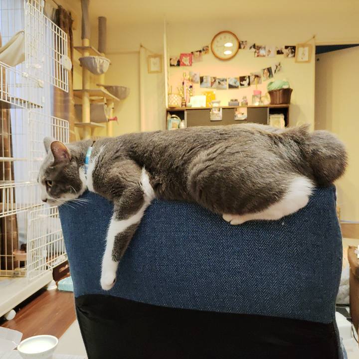 C2cac99d 0006 4eb0 96db 58cb10332e71 1657974685800