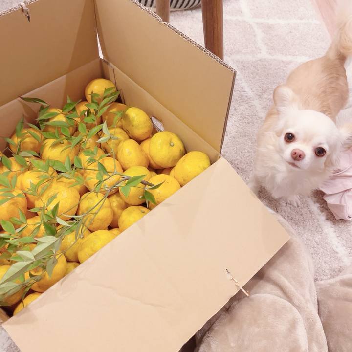 C2cadebc ba85 4a6c 94d4 16f09d34867f 1698666320919