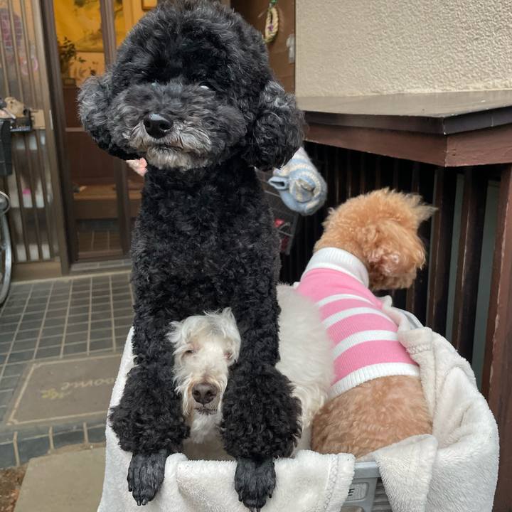 C2cae4fe 2f1a 44a6 9e81 45a51c3c5b73 1772612703237