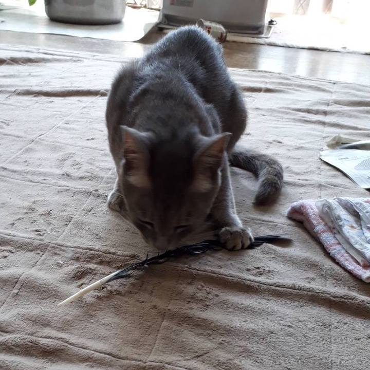 C2cb053b 4815 4e67 a419 77f2776a7df0 1530800450025