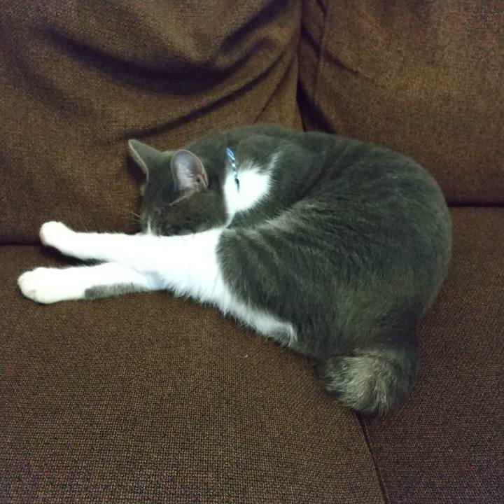 C2cb49a2 225c 480a 85e2 ee2b36eed24d 1601095258778