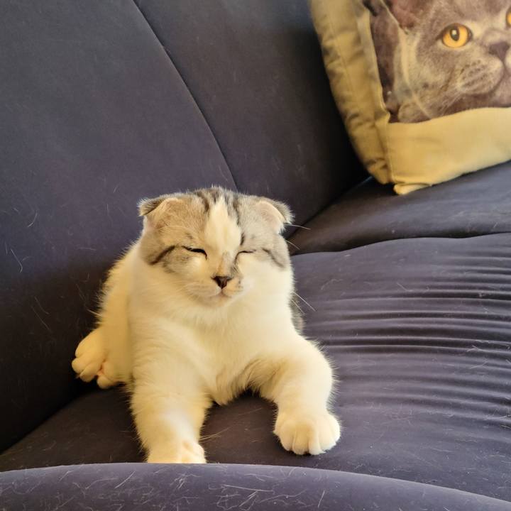 C2cb4b2f f4e2 4068 952e 6ad6985e117e 1634518244734