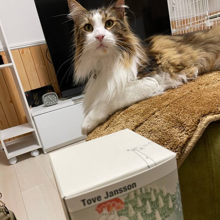 C2cb7c5d e424 4e7c 979a 92c07169dc49 1674936266442