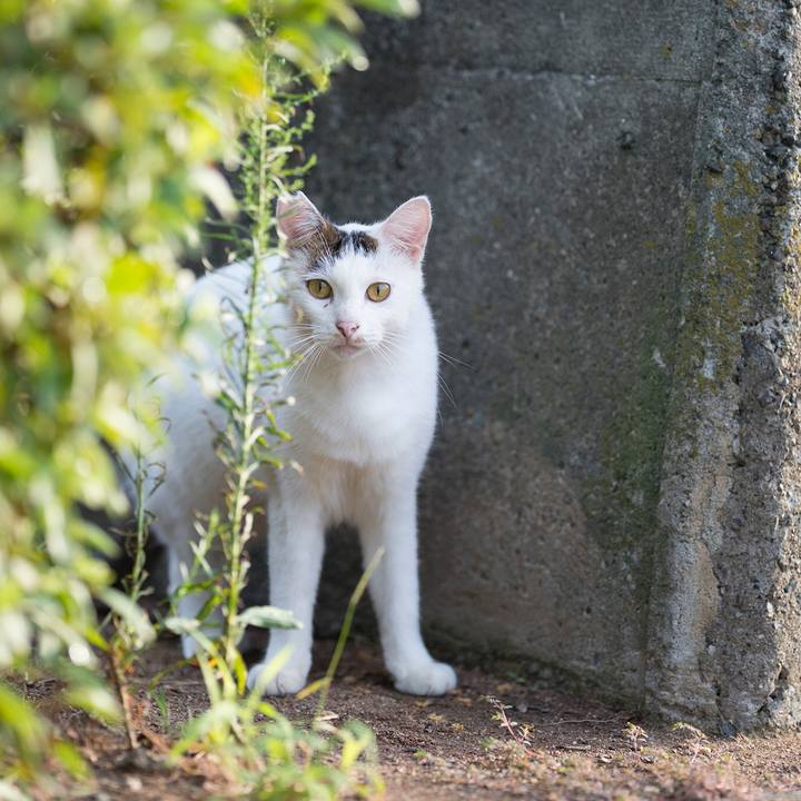 C2cbdb95 36ee 42dc b4e5 4b1a25562005 1537016203066